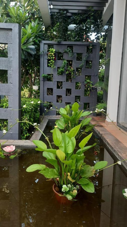 Oceanami Resort & Beach Club Long Hải Ngoại thất bức ảnh